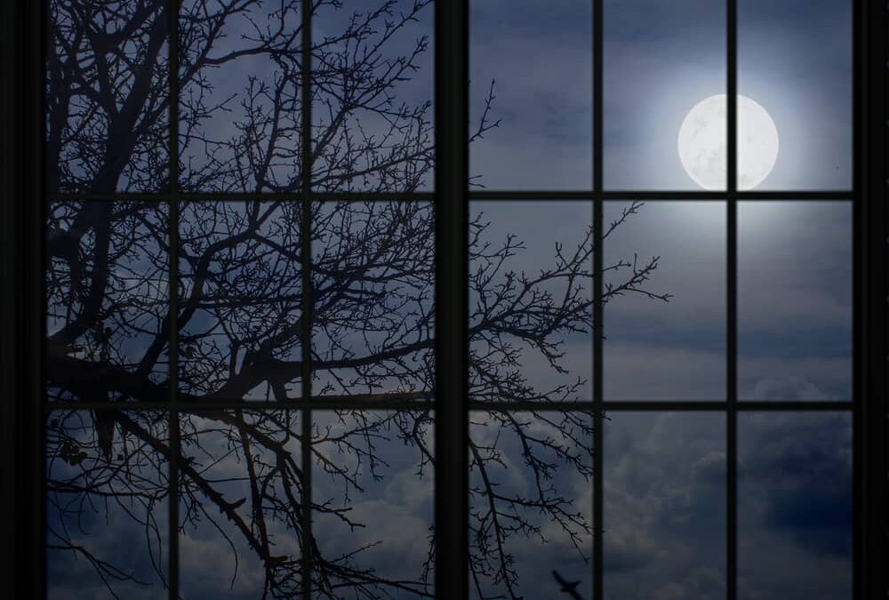Bobrova superluna: november v znamenju konkretnih odločitev