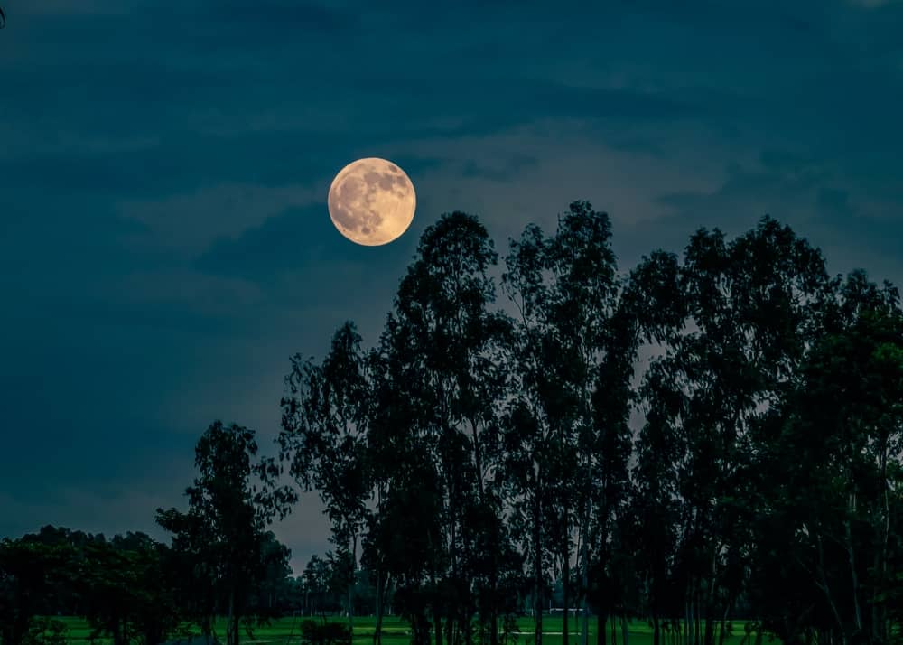 Bobrova polna luna