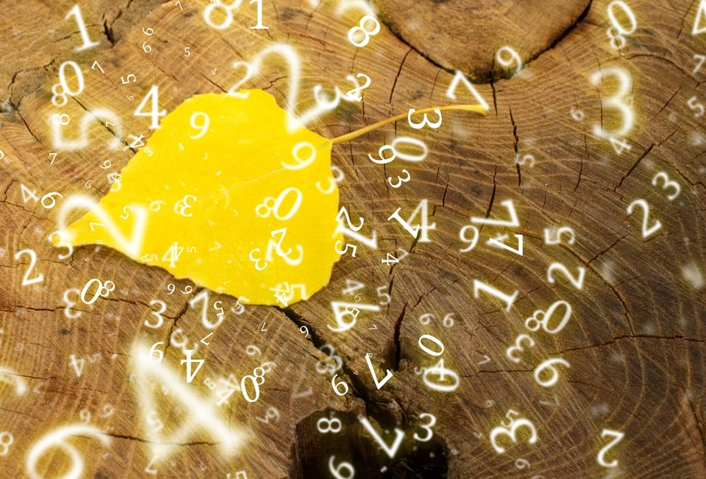 Karmični dolg v numerologiji